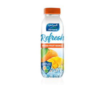 JUICE DRINK ORANGE & MANGO 400ML